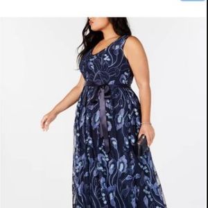 Gorgeous never-worn size 24 gown